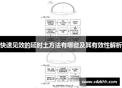 快速见效的延时土方法有哪些及其有效性解析