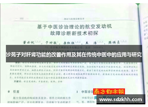 沙苑子对肝肾功能的改善作用及其在传统中医中的应用与研究