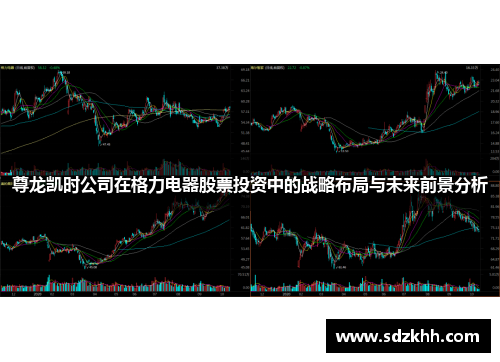 尊龙凯时公司在格力电器股票投资中的战略布局与未来前景分析