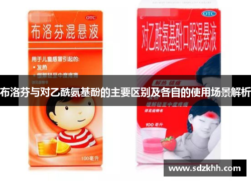 布洛芬与对乙酰氨基酚的主要区别及各自的使用场景解析