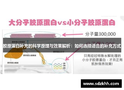 胶原蛋白补充的科学原理与效果解析：如何选择适合的补充方式